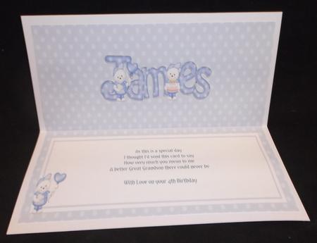 Birthday James Teddy Matching Large Dl Insert by Suzi Cooper