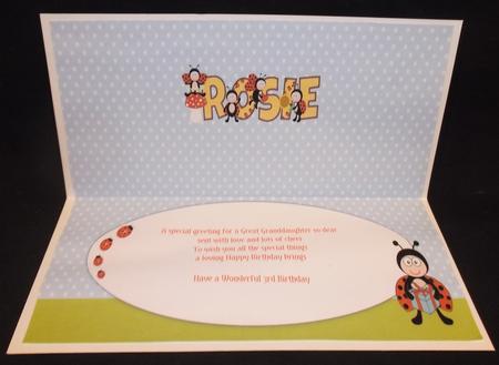 Cute Ladybirds Rosie Large Dl Insert by Suzi Cooper