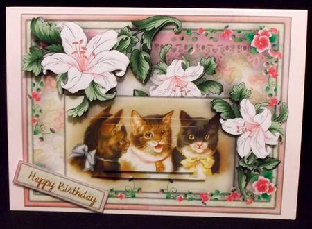 My Pussy Cats by Suzi Cooper