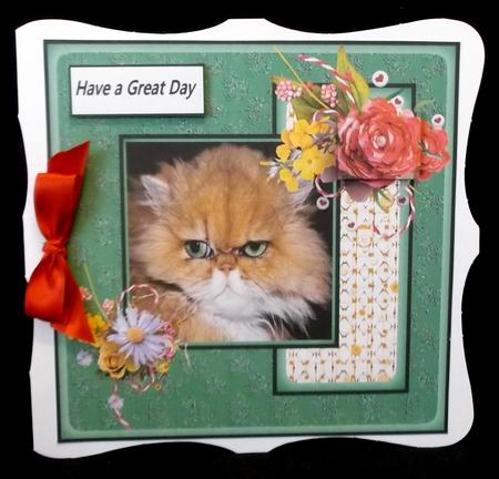 Mr Grumpy by Suzi Cooper