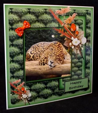 Leopard Beauty by Suzi Cooper