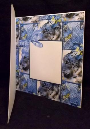 Ice Blue Insert by Suzi Cooper