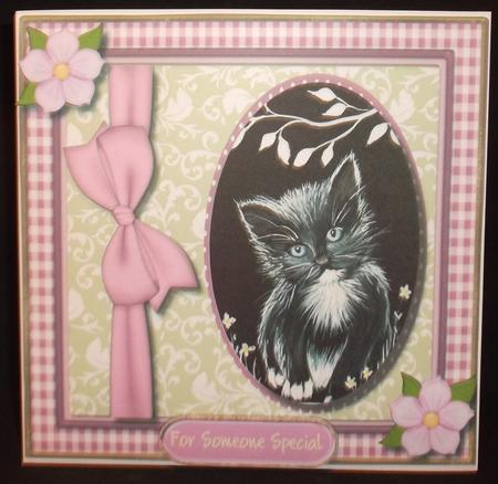 Lovely Monocrome Kitten in a Ginham Frame  by Suzi Cooper
