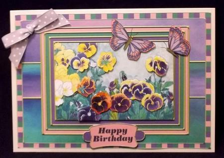 Pansies by Suzi Cooper