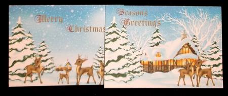 2 A6 Quick Reindeer Christmas Cards by Suzi Cooper