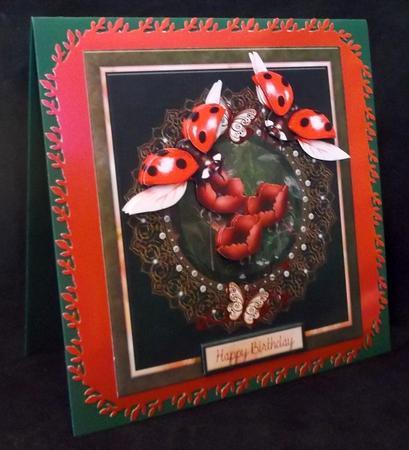 Lady Bug by Suzi Cooper