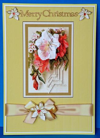 Flowers for Christmas by Suzi Cooper