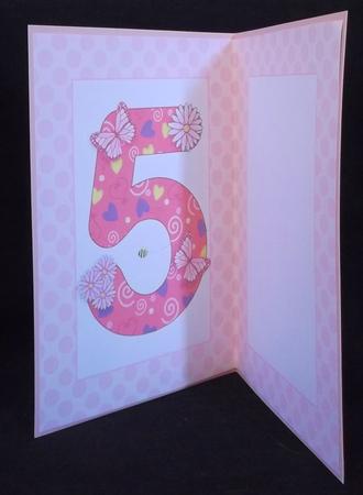 Five Today Girl Butterflies and Flowers A5 Insert by Suzi Cooper