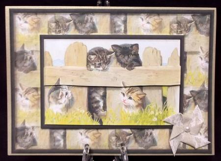 Cats Quick Card by Suzi Cooper