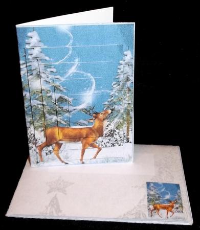 Gift Card 6 with Envelope and Pyramids by Suzi Cooper