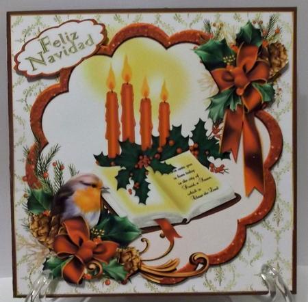 Christmas Robin with Bible Quick Card by Suzi Cooper
