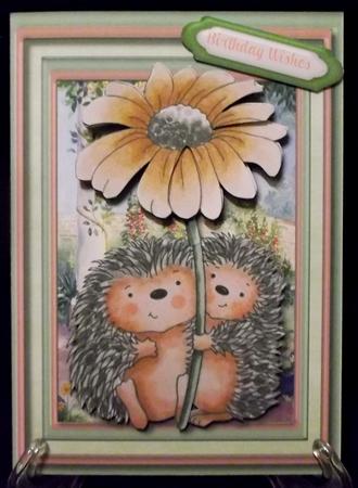 A5 Mini Kit Hedgehog Blossom  by Suzi Cooper
