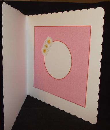 Girls Have Fun Insert by Suzi Cooper