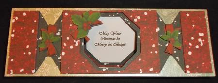 Large Dl - Bling Cracker Cards - Mix N Match Bumper Kit 1 by Suzi Cooper