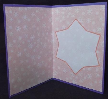 Snowflakes Large and Small A5 Inserts by Suzi Cooper