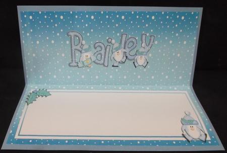 Xmas Bailey Matching Large Dl Insert by Suzi Cooper