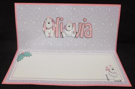 Xmas Olivia Matching Large Dl Insert by Suzi Cooper