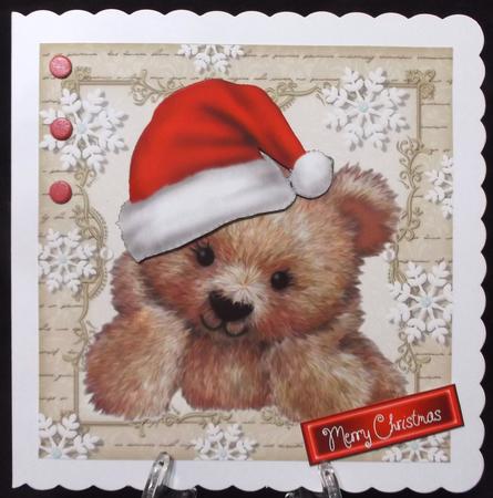 Festive Bear 8x8 by Suzi Cooper