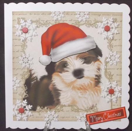 Festive Fluffy Dog 8x8 by Suzi Cooper