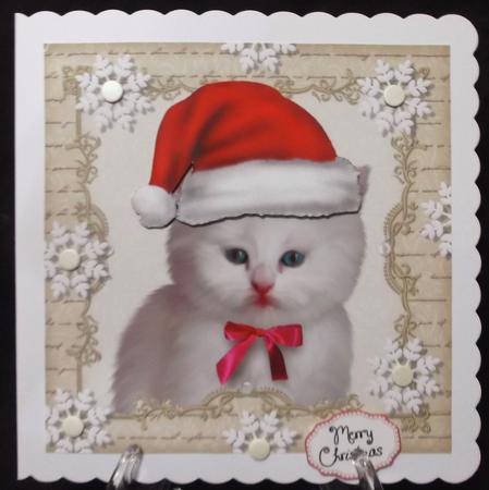 Fluffy Festive Kitten 8x8 by Suzi Cooper