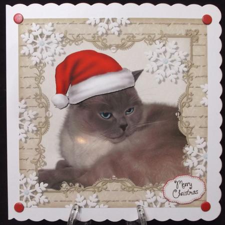 Festive Brown Cat 8x8 by Suzi Cooper