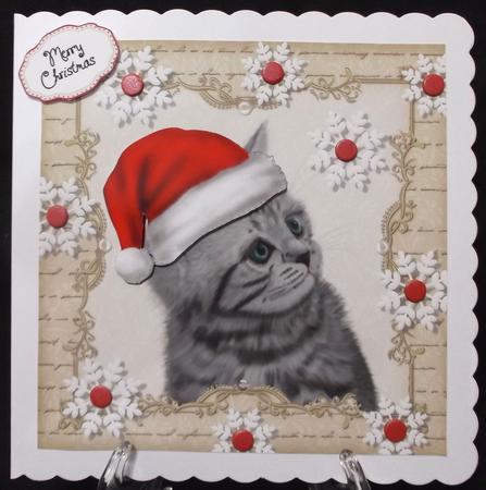 Festive Grey Cat 8x8 by Suzi Cooper