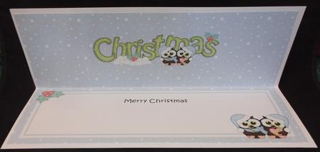 Large Dl Christmas Little Hoot Owls Love Insert by Suzi Cooper