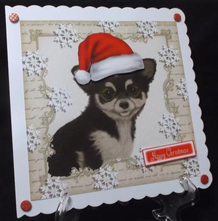Festive Chihuha 8x8 by Suzi Cooper