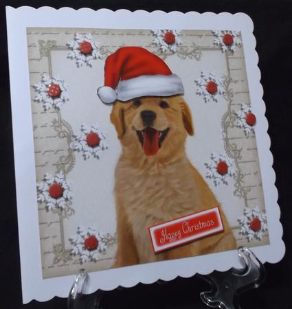Festive Golden Labrador 8x8 by Suzi Cooper