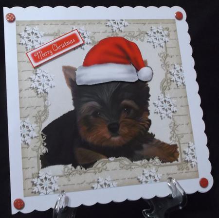 Festive Yorkshire Terrier 8x8 by Suzi Cooper