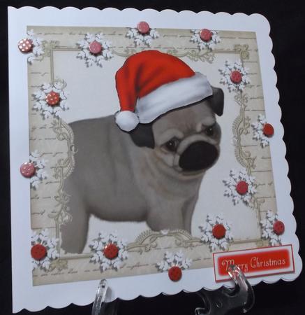 Festive Pug 8x8 by Suzi Cooper