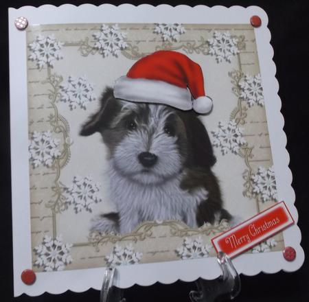 Festive Fluffy Brown Dog 8x8 by Suzi Cooper