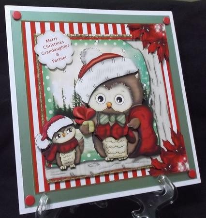 Have a Hooting Xmas Card Front Kit by Suzi Cooper