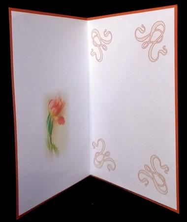 Orange Tulip in a Broderie Anglasie Frame Matching A5 Insert by Suzi Cooper