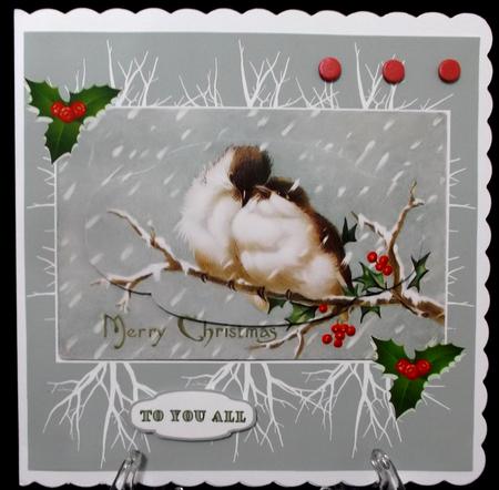 Robins by Suzi Cooper