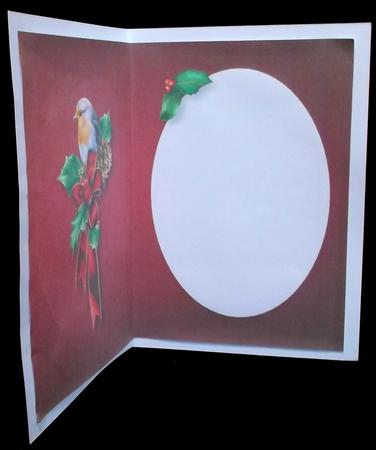 Christmas Robin & Holly Insert by Suzi Cooper