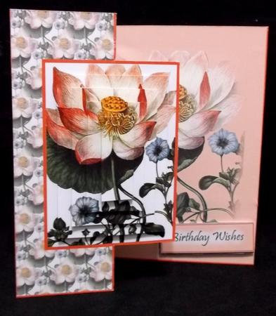 Pink Poppy by Suzi Cooper