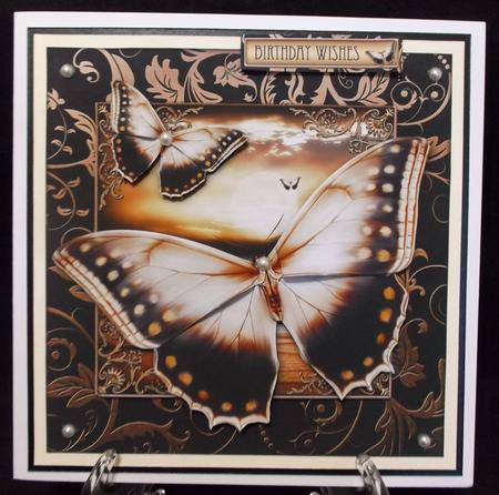 Golden Butterflies by Suzi Cooper