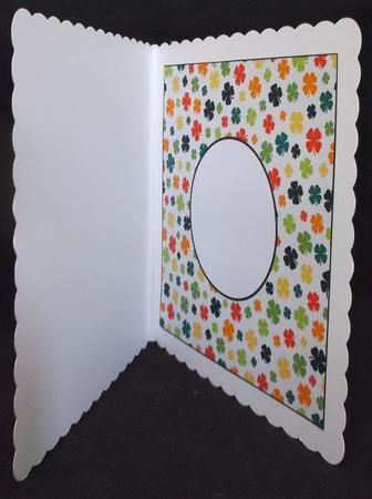 Multi Coloured Shamrock Insert 8x8 by Suzi Cooper