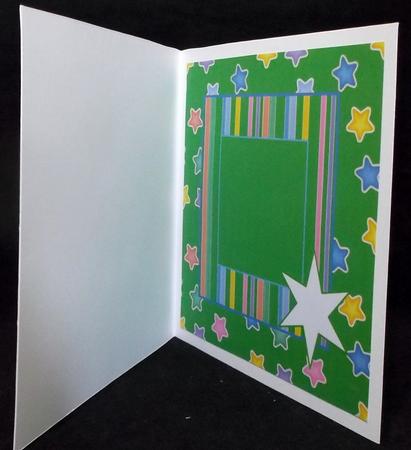 Pawly Polar Bear Insert by Suzi Cooper