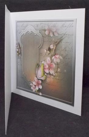 Insert with Butterfly and Labels by Suzi Cooper