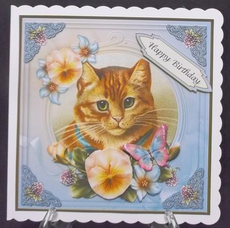 Vintage Cat Birthday Day 7x7 Cf. by Suzi Cooper