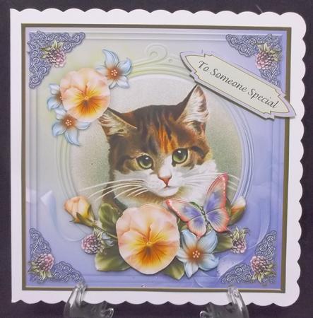 Vintage Cat Someone Special 7x7 Cf. by Suzi Cooper