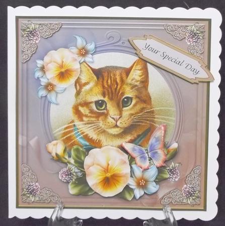 Vintage Cat Special Day 7x7 Cf. by Suzi Cooper
