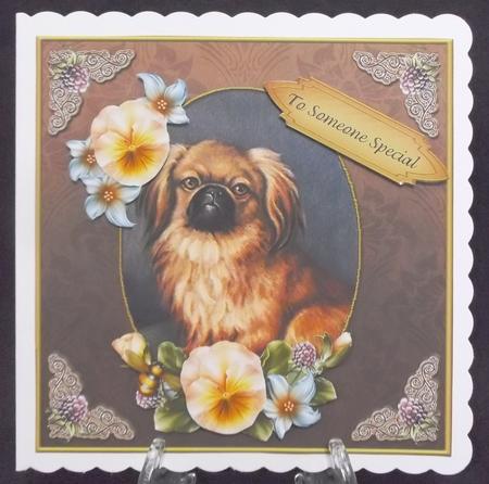 Vintage Dog Someone Special 7x7 Cf by Suzi Cooper