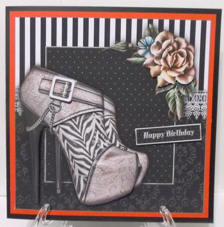 Shoes 2.0 by Suzi Cooper