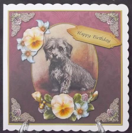 Vintage Dog Birthday 7x7 Rose Cf by Suzi Cooper