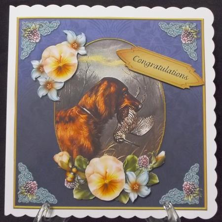 Vintage Dog Congratulations 7x7 Cf by Suzi Cooper