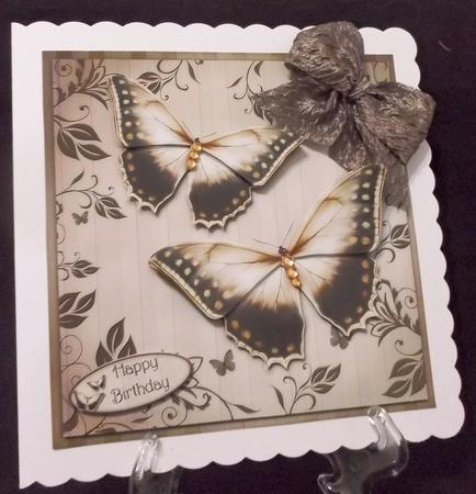 Follow Your Dreams by Suzi Cooper