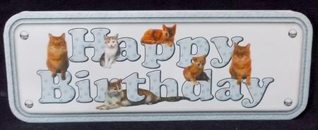 Ginger Cat Happy Birthday Blue Sign by Suzi Cooper